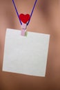 Heart clothes peg holding note