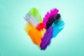 Heart of colorful feathers, flat lay Royalty Free Stock Photo