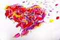 Heart of the concept of flower petals