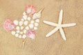 Heart of conch and white shells, starfish on sand Royalty Free Stock Photo