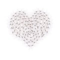 Heart from dandelion seeds Royalty Free Stock Photo