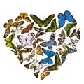 Heart design with colored morpho menelaus, graphium androcles, morpho rhetenor cacica, papilio demoleus, cethosia biblis