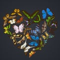 Heart design on dark background with morpho menelaus, graphium androcles, morpho rhetenor cacica, papilio demoleus Royalty Free Stock Photo