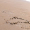 Heart drawn in the sand. Beach background. Top view Royalty Free Stock Photo