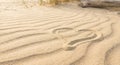 Heart drawn in the sand on a beach with wavy patterns Royalty Free Stock Photo