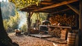Background, Firewood harvesting, woodworking workshop, tree, firewood, early autumn, fire