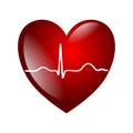 Heart electrocardiogram Royalty Free Stock Photo
