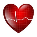 Heart electrocardiogram Royalty Free Stock Photo