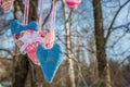The heart of the fabric on the branches of a tree Royalty Free Stock Photo