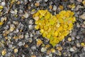Heart of fallen autumn leaves Royalty Free Stock Photo
