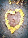 Heart figure made of leaves Royalty Free Stock Photo