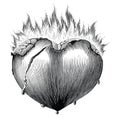 Heart with fire vintage illustration black and white clip art