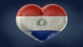 Heart of the flag of Paraguay. Royalty Free Stock Photo