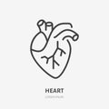 Heart flat line icon. Vector thin pictogram of human internal organ, outline illustration for cardiology clinic Royalty Free Stock Photo