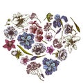 Heart floral design with colored anemone, lavender, rosemary everlasting, phalaenopsis, lily, iris