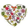 Heart floral design with colored ylang-ylang, impatiens, daffodil, tigridia, lotus, aquilegia