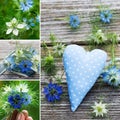 Heart with flowers collage Royalty Free Stock Photo