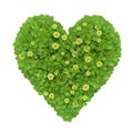 Heart of flowers Royalty Free Stock Photo
