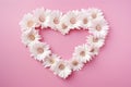 Heart formed from white daisies on pink background view from above. Spring or holiday greeting card or invitation Royalty Free Stock Photo