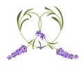 Heart frame of lavender flower