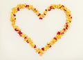 Heart made of yellow and red rose petals Royalty Free Stock Photo
