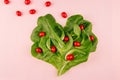 Heart of fresh leaves greens salad and cherry tomatoes on pink background. Royalty Free Stock Photo