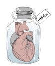 Heart - funny anatomy joke