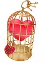 Heart in a golden cage