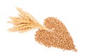 Heart of grains of wheat with spikelet Royalty Free Stock Photo