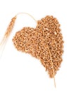 Heart of grains of wheat with spikelet