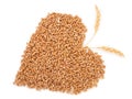 Heart of grains of wheat with spikelet Royalty Free Stock Photo
