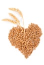 Heart of grains of wheat with spikelet Royalty Free Stock Photo