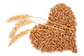 Heart of grains of wheat with spikelet