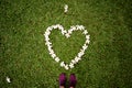 Heart on the grass of flowers frangepani in Thailand