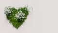 Heart of grass with white flowers Royalty Free Stock Photo