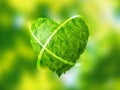 Heart in green blur background