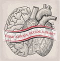 Heart with half brain of human together. Hand drawn print. Royalty Free Stock Photo