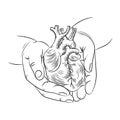 HEART IN HANDS Health Symbol Medicine Human Hand Draw Vector Royalty Free Stock Photo