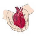 HEART AND HANDS Health Symbol Medicine Human Hand Draw Vector Royalty Free Stock Photo