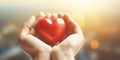 heart in handsheart in hands heart in hands heart in hands Royalty Free Stock Photo