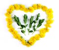 Heart with herbs for homeopathy and cooking Royalty Free Stock Photo