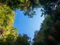 heart in Hong Island Phang Nga Royalty Free Stock Photo