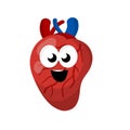 Heart. Human internal organ. Medicine and cardiology