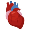 Heart icon, cardiology and medicine, health symbol Royalty Free Stock Photo