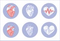 Heart illustration anatomy real and symbolic icon