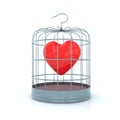Heart inside the birdcage Royalty Free Stock Photo