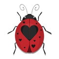 Heart Ladybug