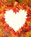 Heart of the leaves Royalty Free Stock Photo