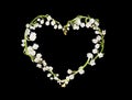 Heart of lillies Royalty Free Stock Photo