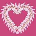 Heart of lily flowers. Floral background. Lilies. Flower pattern. Isolated on rose background